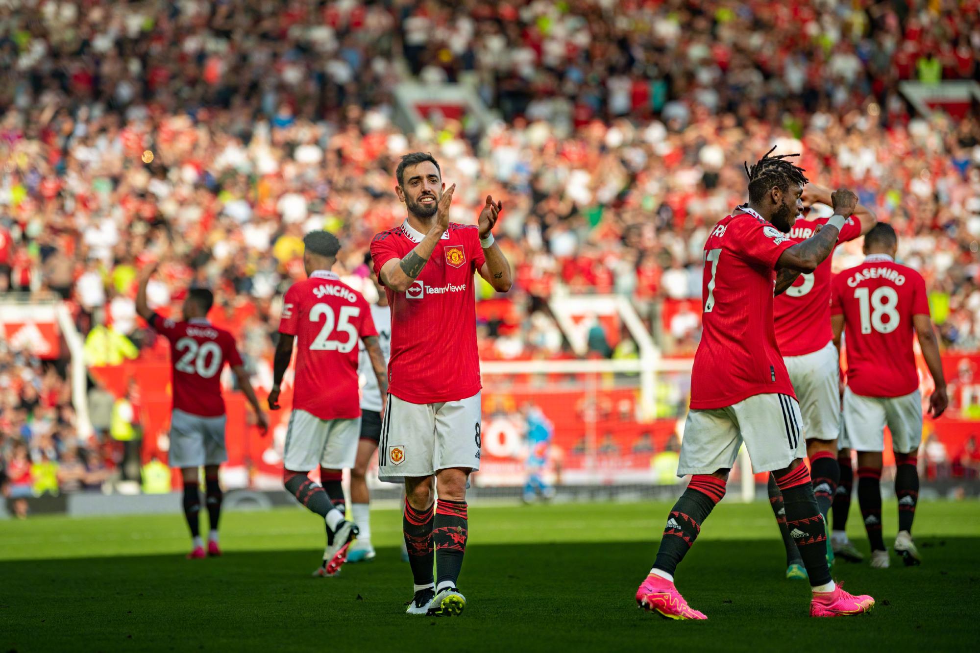 依赖明星球 依赖明星球